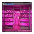 Shipping Container Farm Blackout Greenhouse Smart Farm Shipping Mushroom Container Farm Greenhouse Supplier